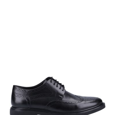 Comely84293 Puppies Kingston Brogues