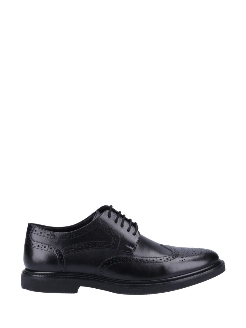 Comely84293 Puppies Kingston Brogues