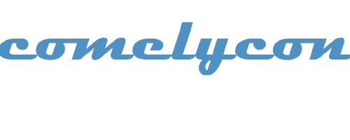 COMELY CONSTRUCTION LLC